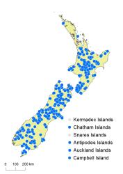 Blechnum penna-marina supsp. alpina distribution map based on databased records at AK, CHR & WELT.
 Image: K.Boardman © Landcare Research 2020 CC BY 4.0